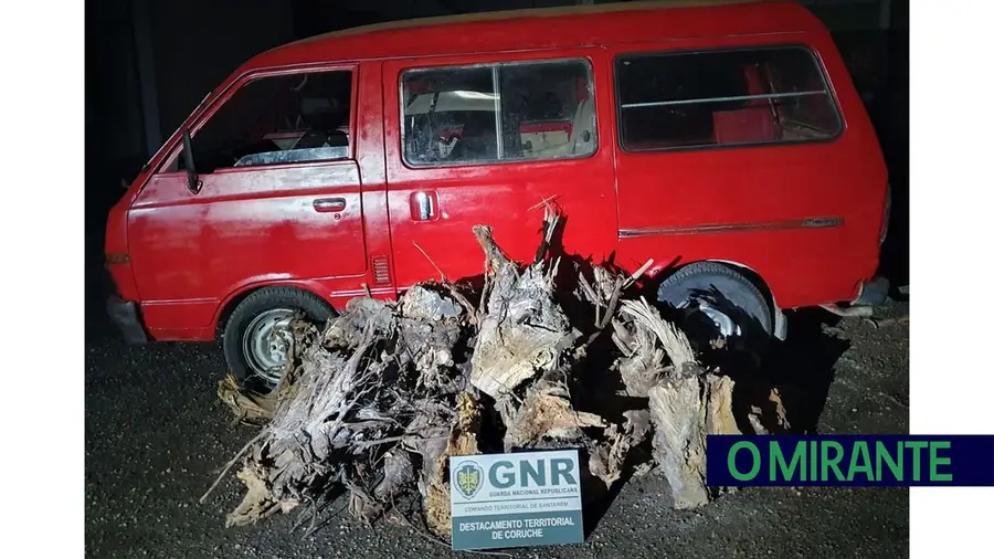 Quatro detidos por furto de lenha em Benavente Quatro detidos por furto de lenha em Benavente