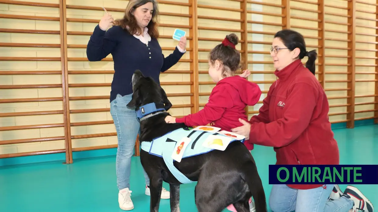Cães terapeutas ajudam crianças com necessidades especiais em Aveiras de Cima