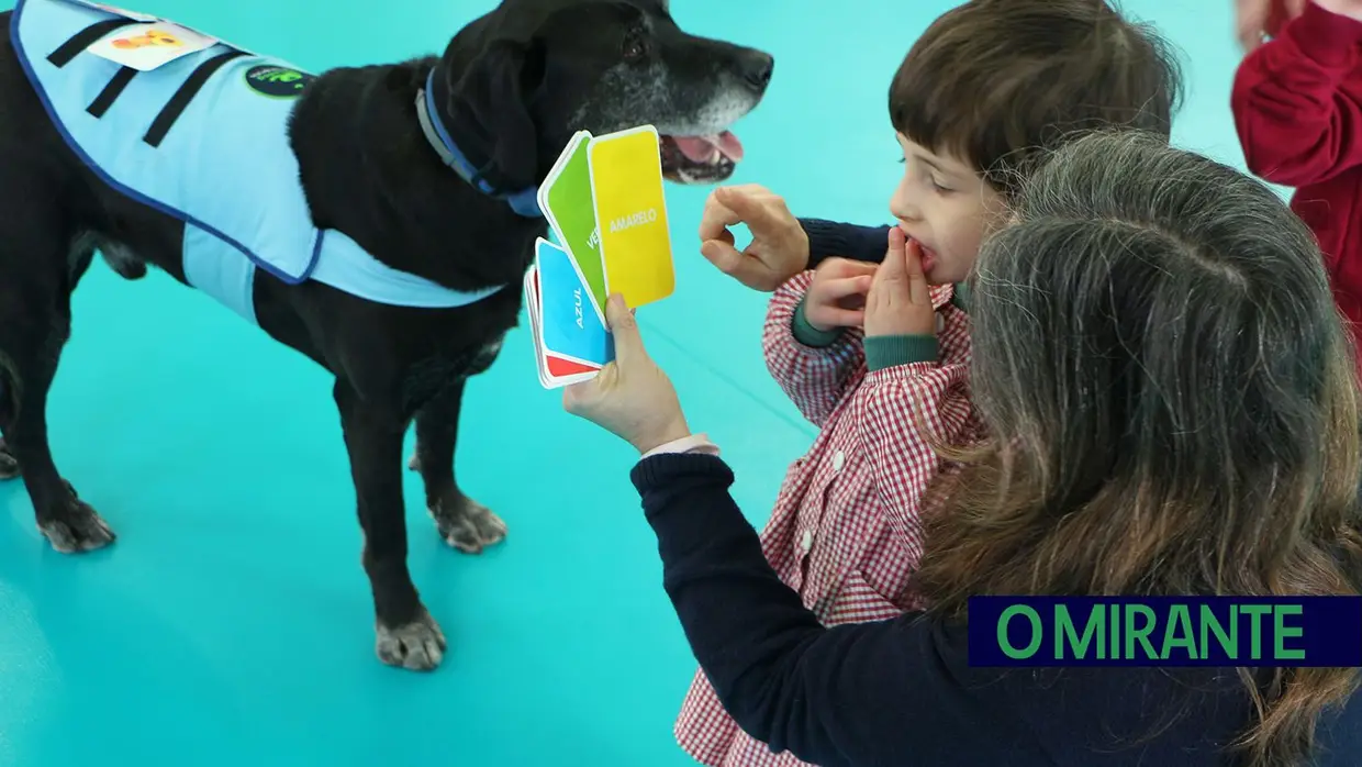 Cães terapeutas ajudam crianças com necessidades especiais em Aveiras de Cima