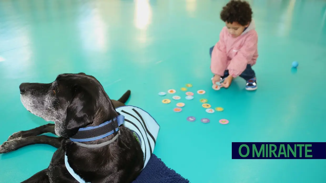 Cães terapeutas ajudam crianças com necessidades especiais em Aveiras de Cima