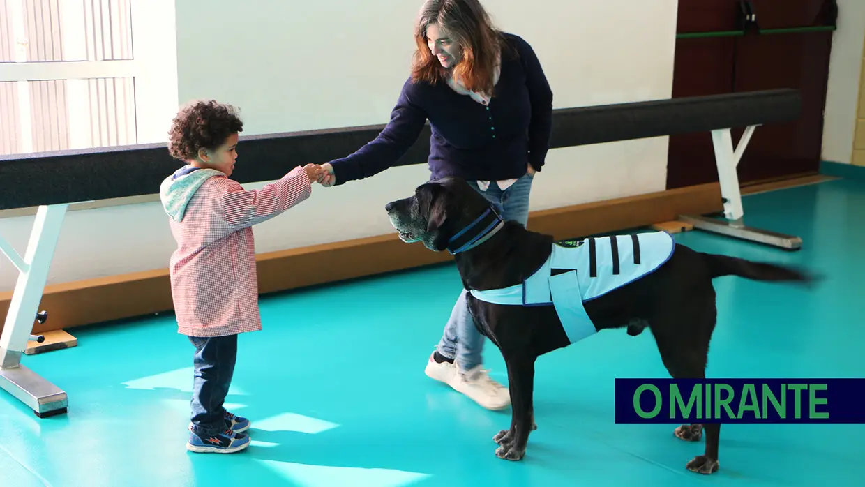 Cães terapeutas ajudam crianças com necessidades especiais em Aveiras de Cima
