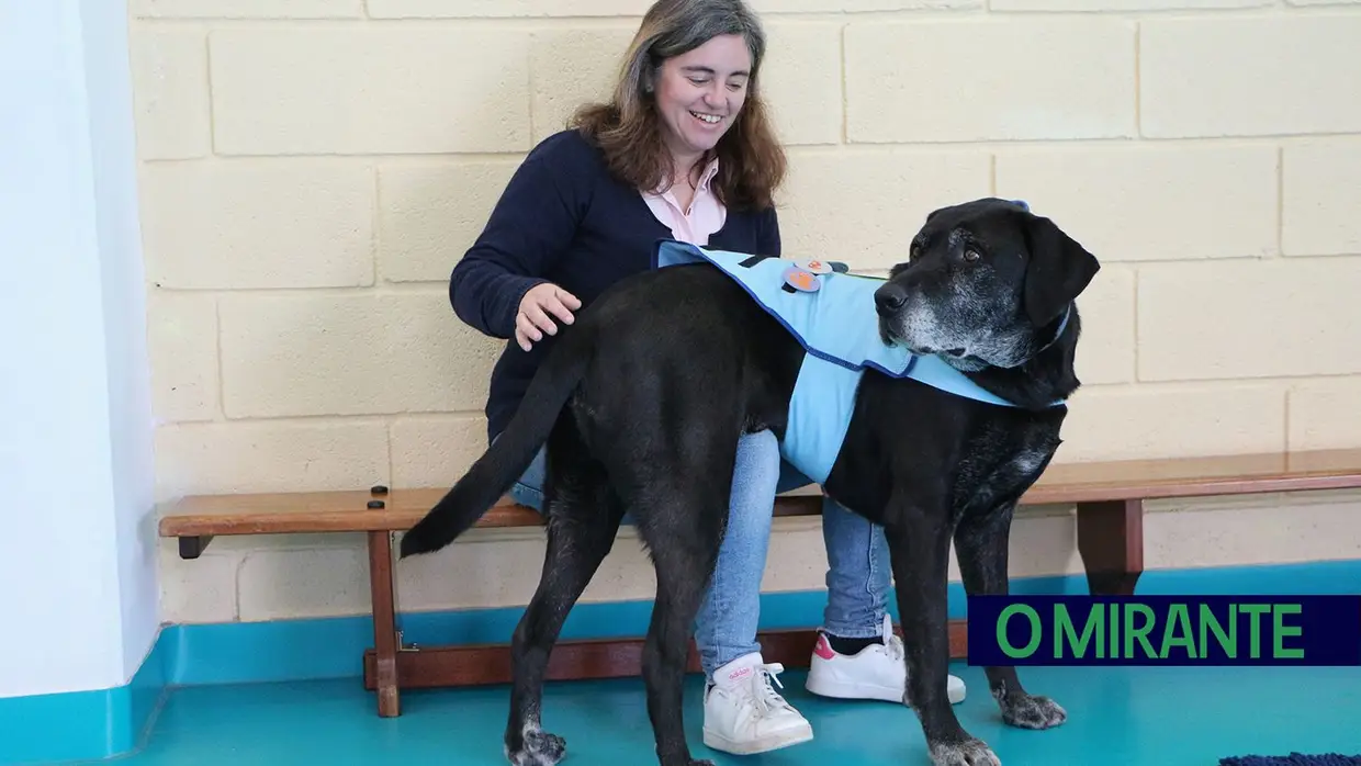 Cães terapeutas ajudam crianças com necessidades especiais em Aveiras de Cima