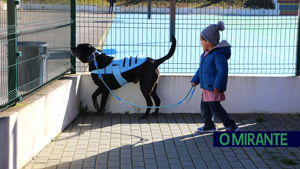 Cães terapeutas ajudam crianças com necessidades especiais em Aveiras de Cima