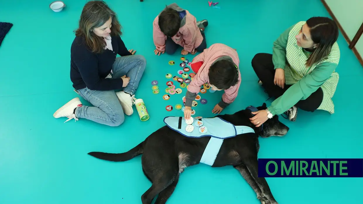 Cães terapeutas ajudam crianças com necessidades especiais em Aveiras de Cima