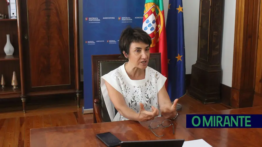 Ministério da Agricultura cria grupo de trabalho para repensar cooperativas agrícolas Ministério da Agricultura cria grupo de trabalho para repensar cooperativas agrícolas