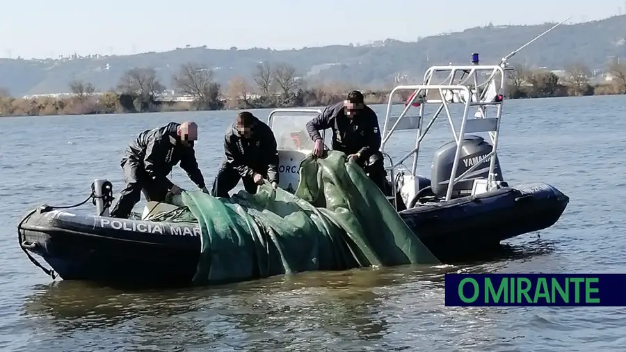 Polícia Marítima apreende redes e cinco quilos de meixão em Vila Franca de Xira Polícia Marítima apreende redes e cinco quilos de meixão em Vila Franca de Xira