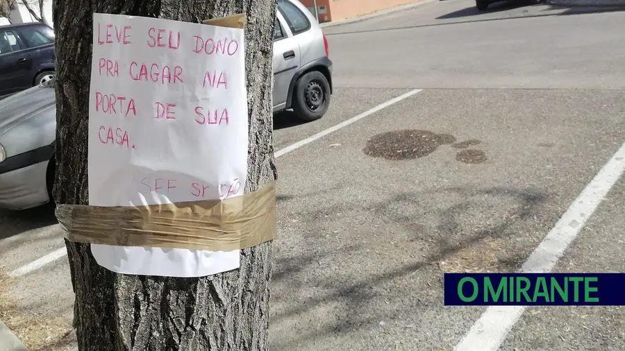 Benavente prometeu punir quem deixa dejectos dos animais nas ruas mas ainda não multou ninguém Benavente prometeu punir quem deixa dejectos dos animais nas ruas mas ainda não multou ninguém
