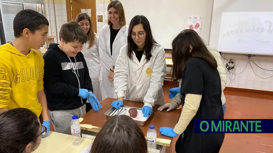 Alunos de Torres Novas aprendem mais sobre importância da saúde renal Alunos de Torres Novas aprendem mais sobre importância da saúde renal