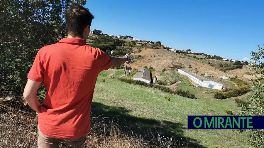 Aviários às portas de Vila Franca de Xira com via verde para serem reactivados Aviários às portas de Vila Franca de Xira com via verde para serem reactivados