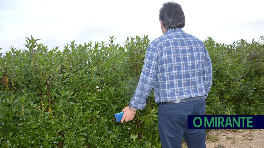 Piratas informáticos roubam 138 mil euros a empresário de Vila Franca de Xira Piratas informáticos roubam 138 mil euros a empresário de Vila Franca de Xira