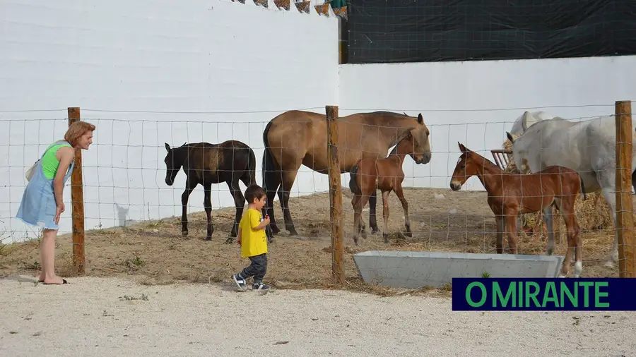 V Samora Equestre promove o cavalo lusitano V Samora Equestre promove o cavalo lusitano