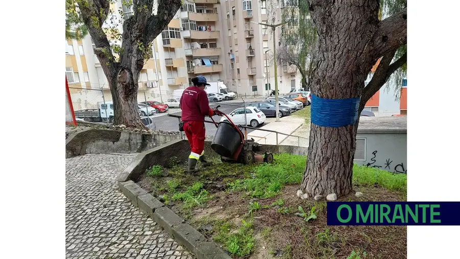 Conservação das ruas e falta de limpeza continuam a liderar queixas em VFX