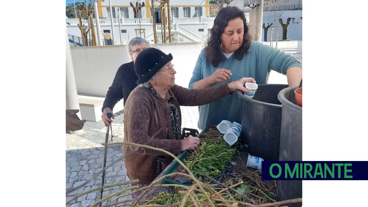 Mação assinalou chegada da Primavera com oferta de flores