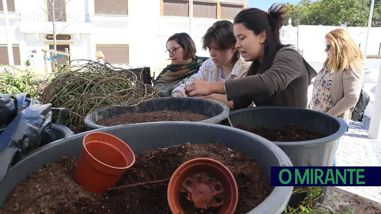 Mação assinalou chegada da Primavera com oferta de flores