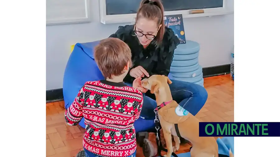 Chamusca tem projecto piloto de terapia assistida por animais Chamusca tem projecto piloto de terapia assistida por animais