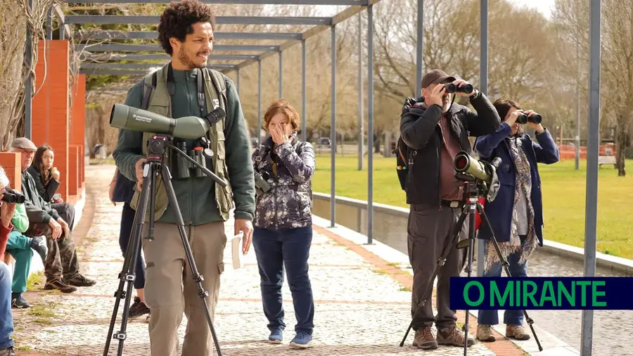 Associação 30Por1Linha organiza manhã de observação de aves em Tomar Associação 30Por1Linha organiza manhã de observação de aves em Tomar