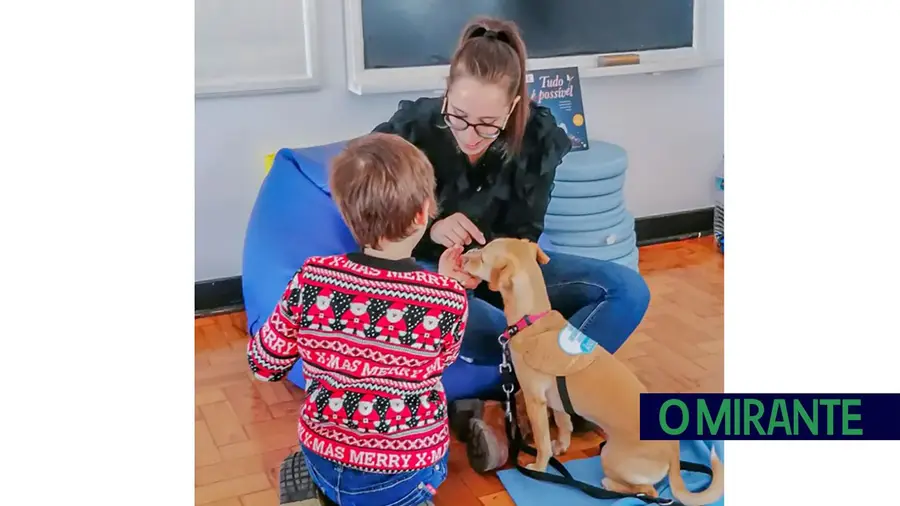 Chamusca tem projecto piloto de terapia assistida por animais Chamusca tem projecto piloto de terapia assistida por animais