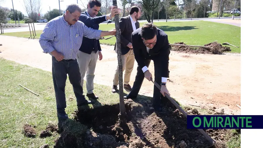 Autarcas de Santarém agarram na enxada no Dia da Árvore Autarcas de Santarém agarram na enxada no Dia da Árvore
