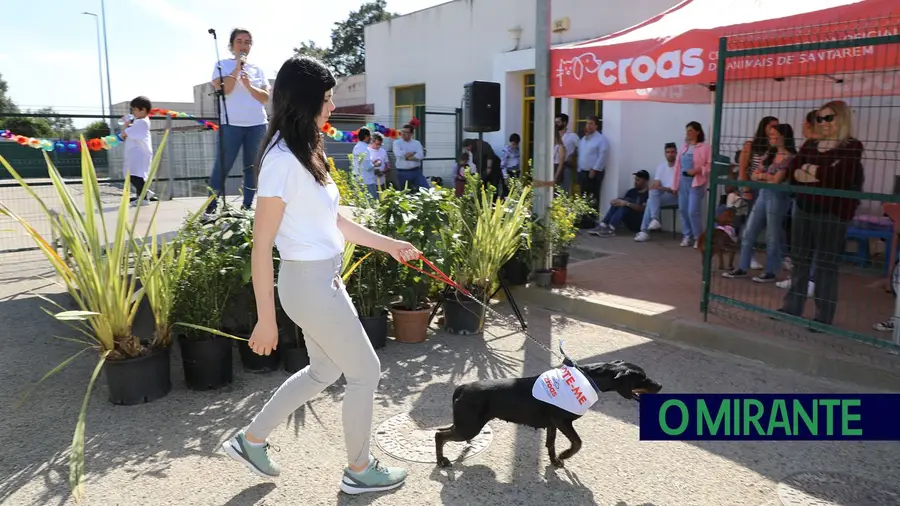 Arraial do Cão animou canil de Santarém