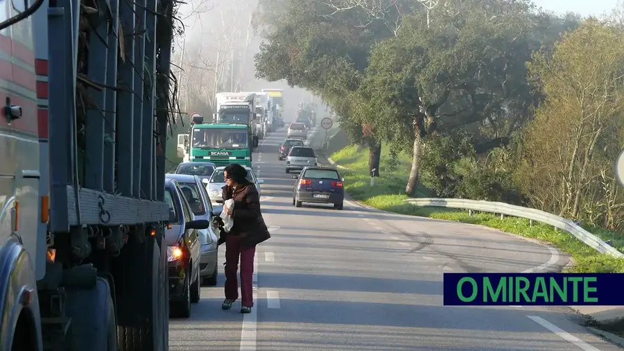 Fila para atravessar Ponte da Chamusca vai com uma hora de espera Fila para atravessar Ponte da Chamusca vai com uma hora de espera