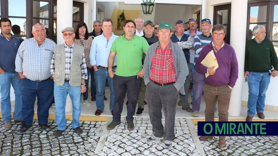 Gado bravo à solta continua a destruir culturas em Manique e Vila Nova de São Pedro Gado bravo à solta continua a destruir culturas em Manique e Vila Nova de São Pedro