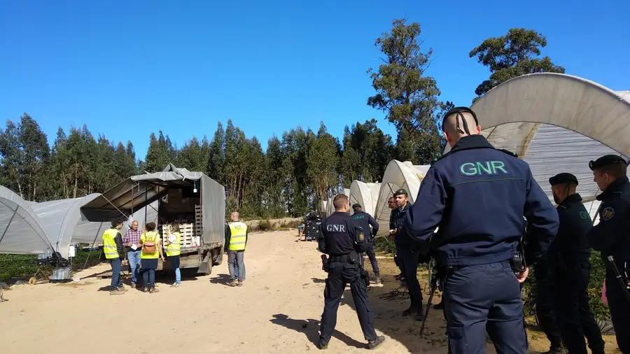 Empresas notificadas para justificarem cedência de trabalhadores no concelho de Almeirim