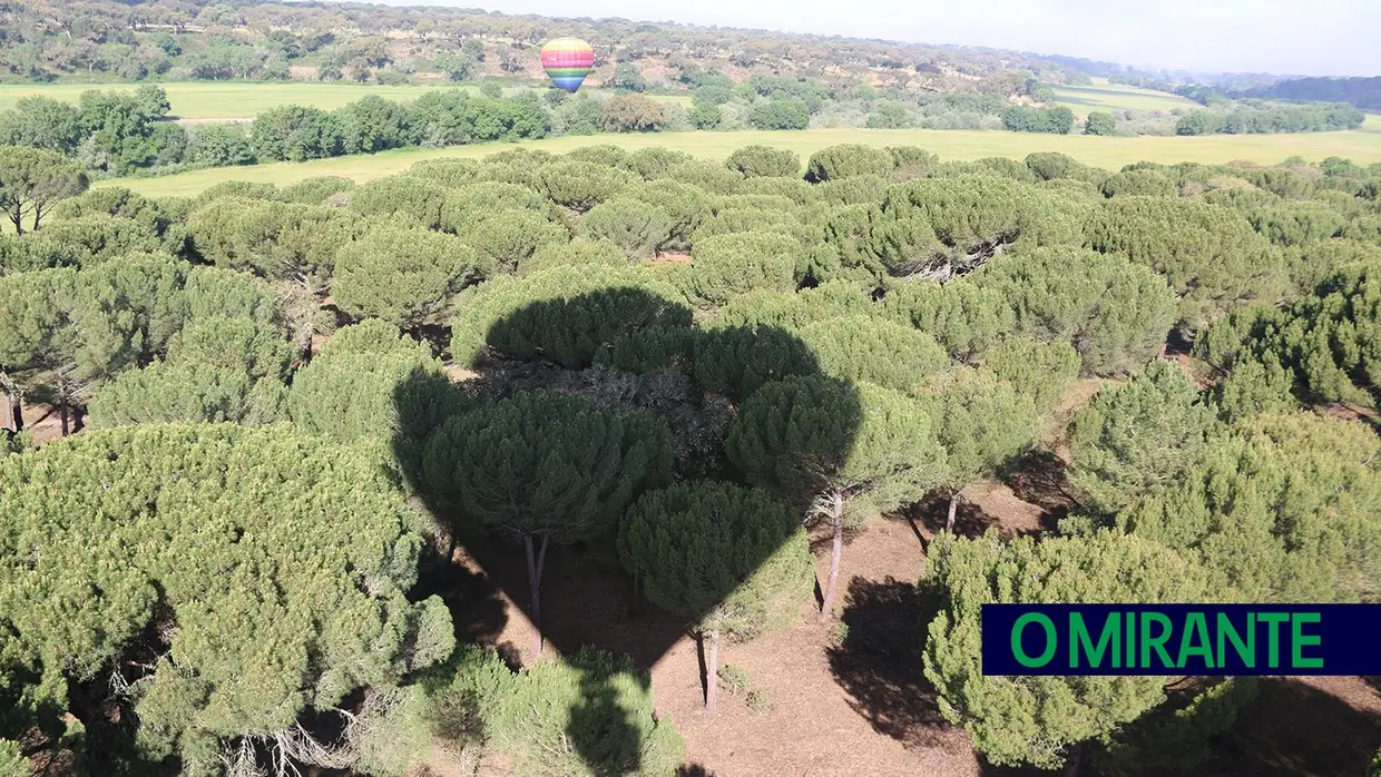 Festival Internacional de Balonismo invade o céu de Coruche