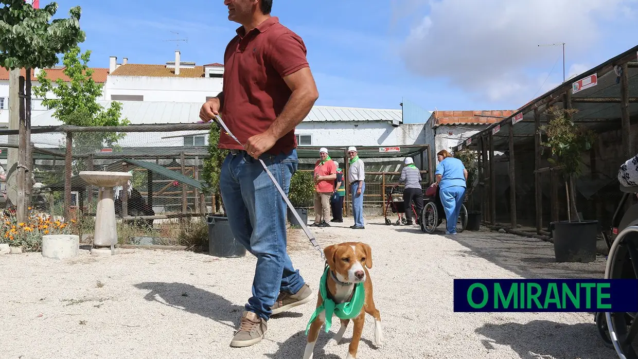 Crianças e idosos visitaram o Samora Rural