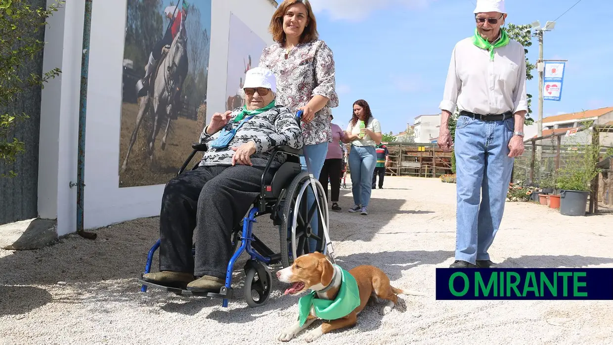 Crianças e idosos visitaram o Samora Rural