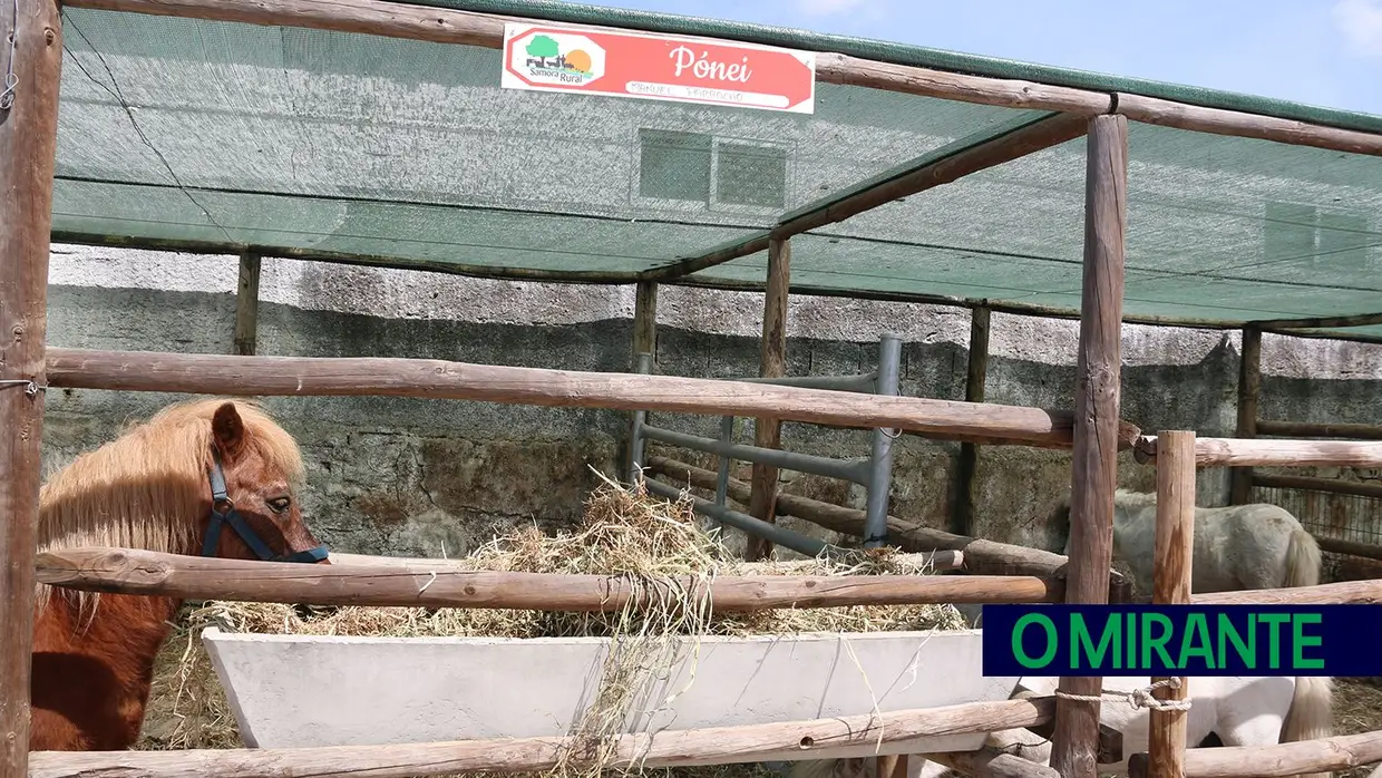 Crianças e idosos visitaram o Samora Rural