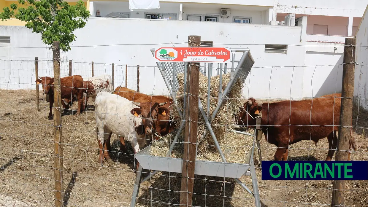 Crianças e idosos visitaram o Samora Rural