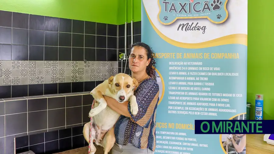 “Um cão ou um gato têm que ser encarados como um elemento da família” “Um cão ou um gato têm que ser encarados como um elemento da família”