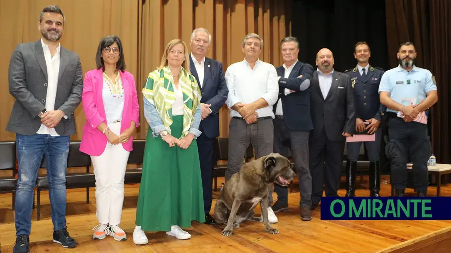 Escolas têm papel importante na prevenção da violência Escolas têm papel importante na prevenção da violência
