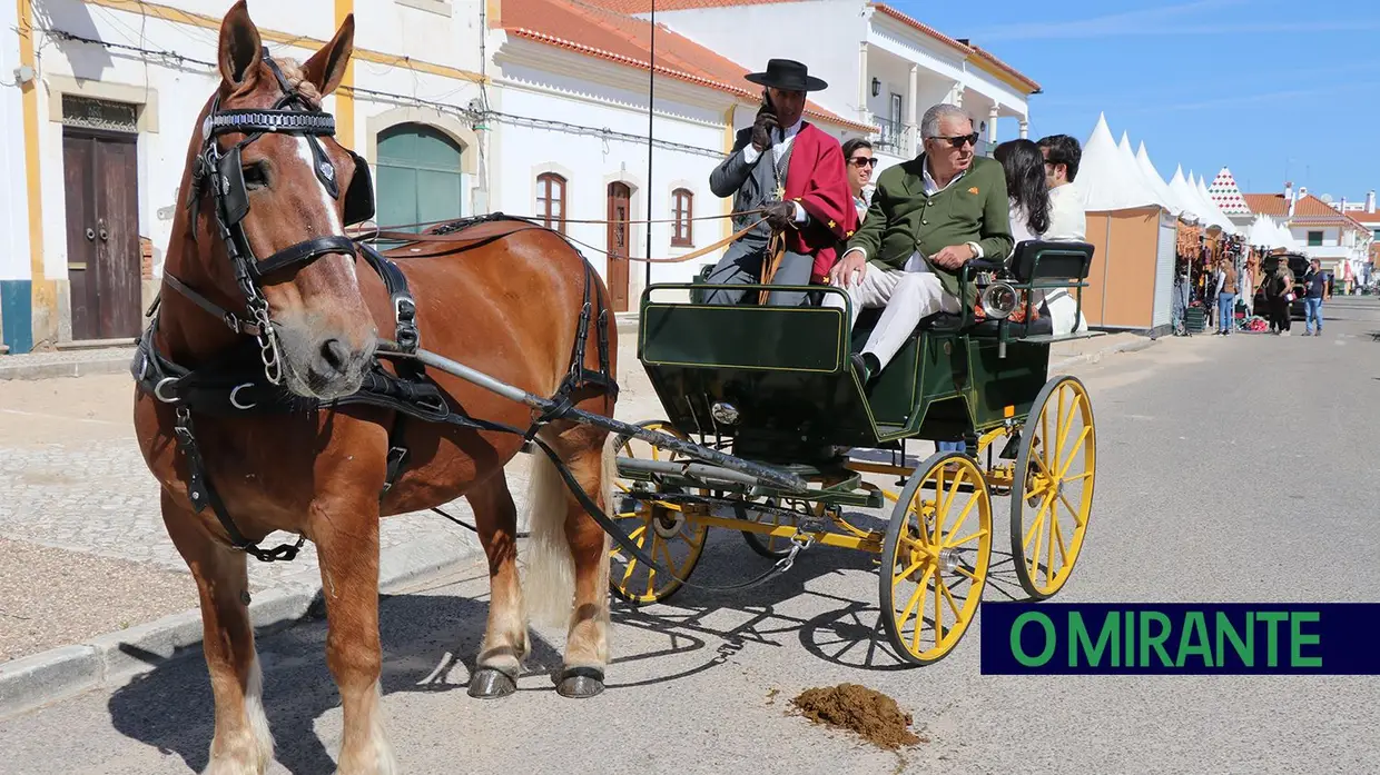 Cumpriu-se mais um ano da Romaria a São Martinho na Golegã 