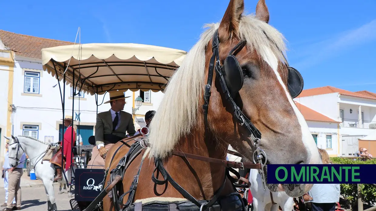 Cumpriu-se mais um ano da Romaria a São Martinho na Golegã 