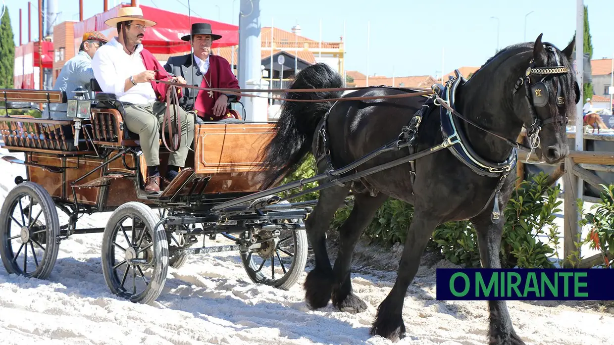 Cumpriu-se mais um ano da Romaria a São Martinho na Golegã 