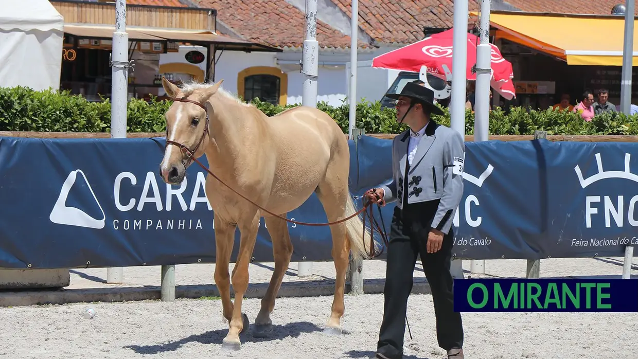 ExpoÉgua na Golegã com balanço muito positivo