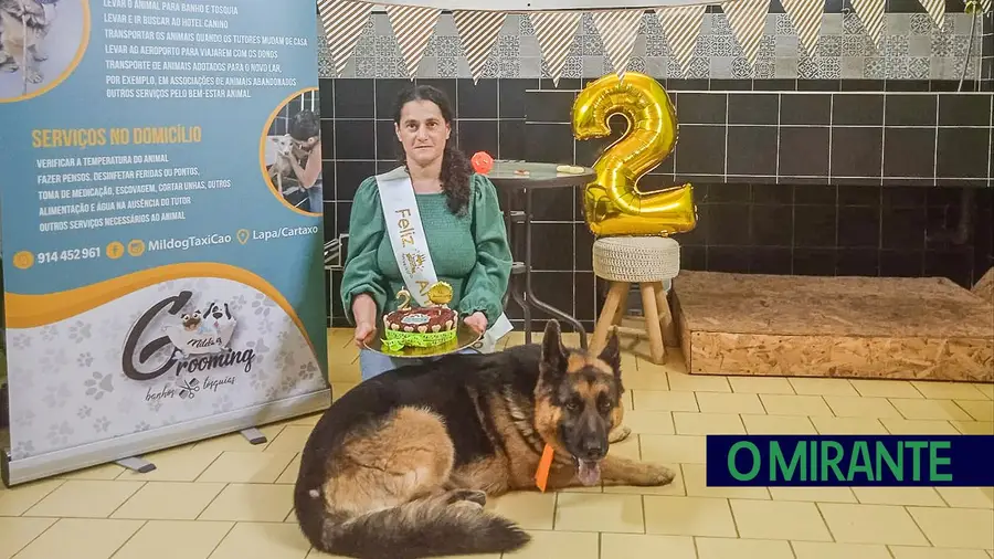 Mildog TáxiCão celebra dois anos de actividade e de expansão Mildog TáxiCão celebra dois anos de actividade e de expansão