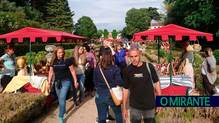 Terapias holísticas na Mata Nacional dos Sete Montes em Tomar