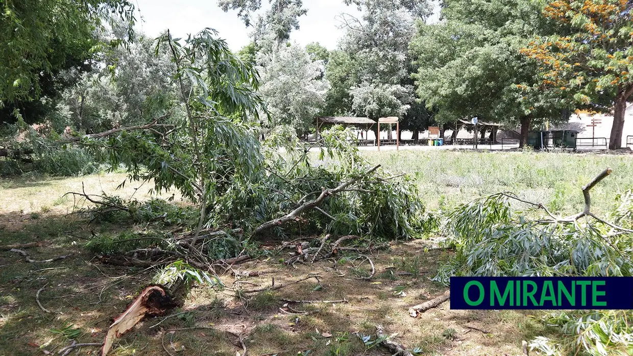 Ventos fortes deixam rasto de destruição em Valada