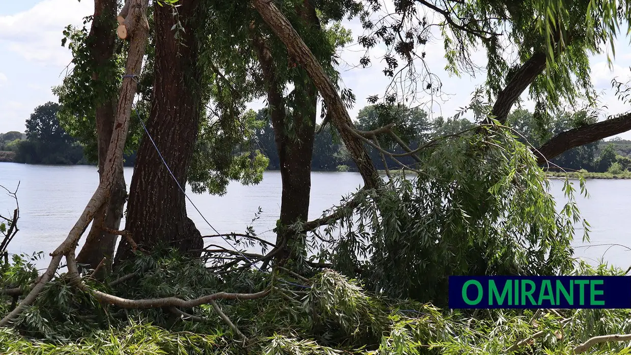 Ventos fortes deixam rasto de destruição em Valada