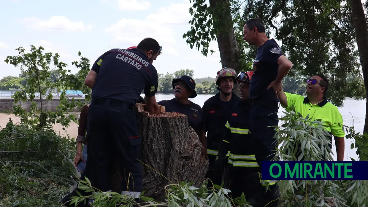 Ventos fortes deixam rasto de destruição em Valada