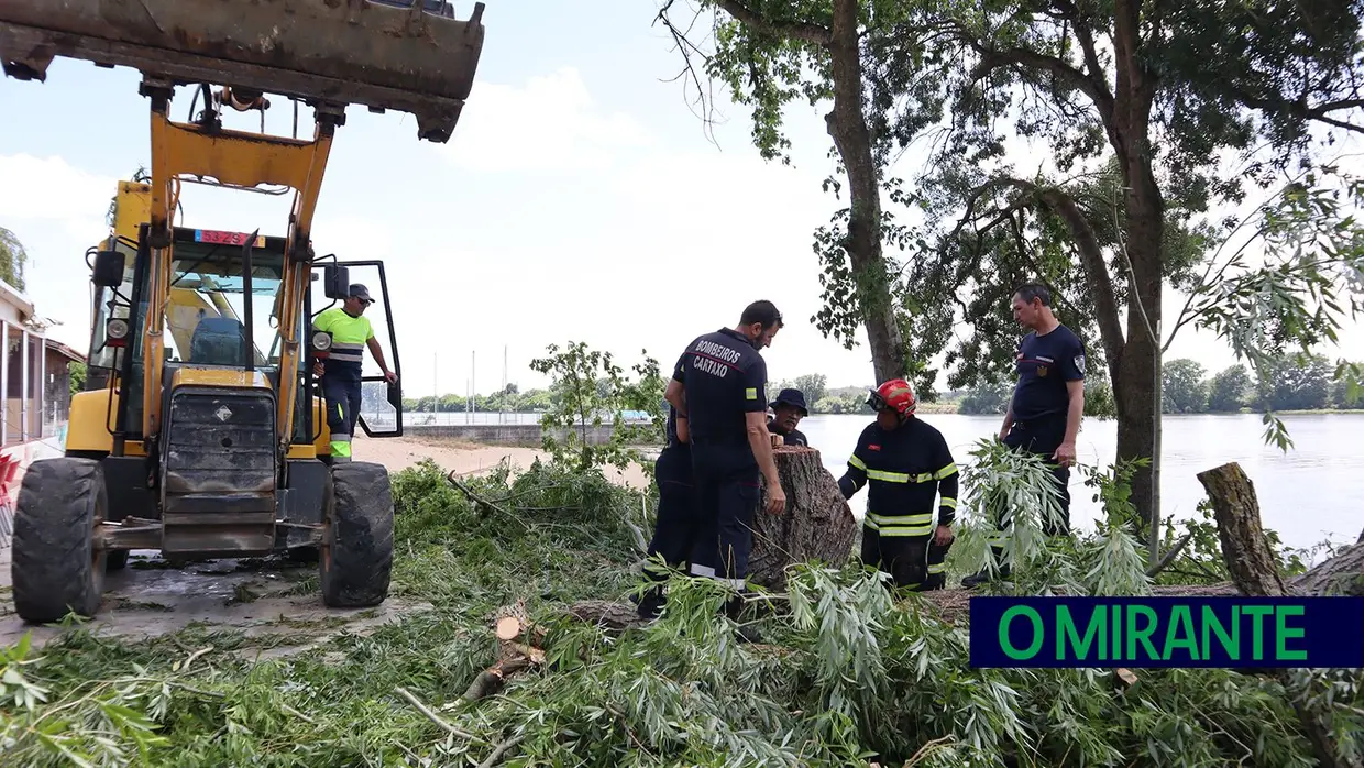 Ventos fortes deixam rasto de destruição em Valada