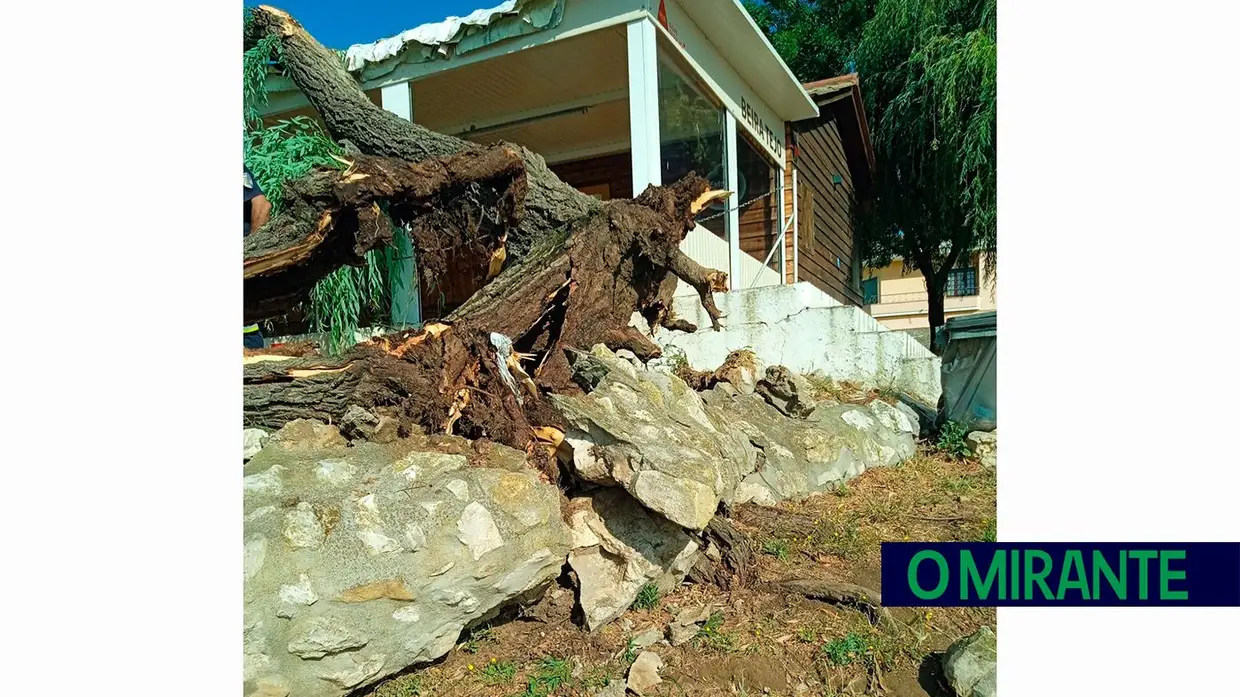 Ventos fortes deixam rasto de destruição em Valada