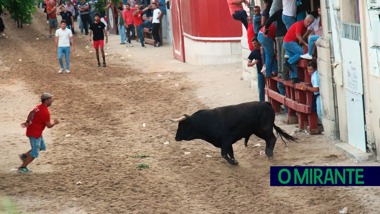 Feira de Maio arrancou com muita música, dança e largada de toiros