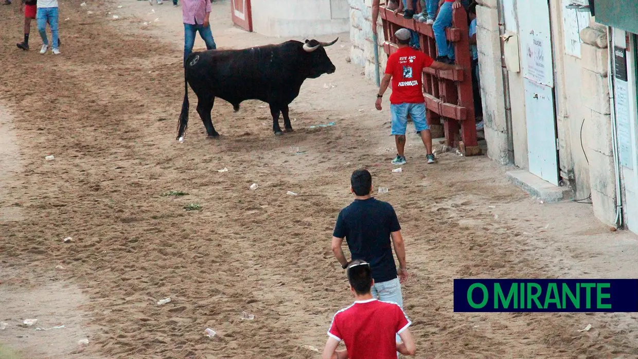 Feira de Maio arrancou com muita música, dança e largada de toiros