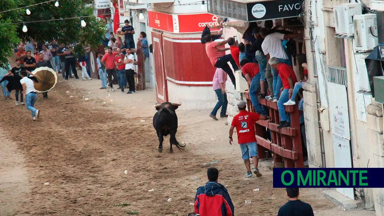 Feira de Maio arrancou com muita música, dança e largada de toiros