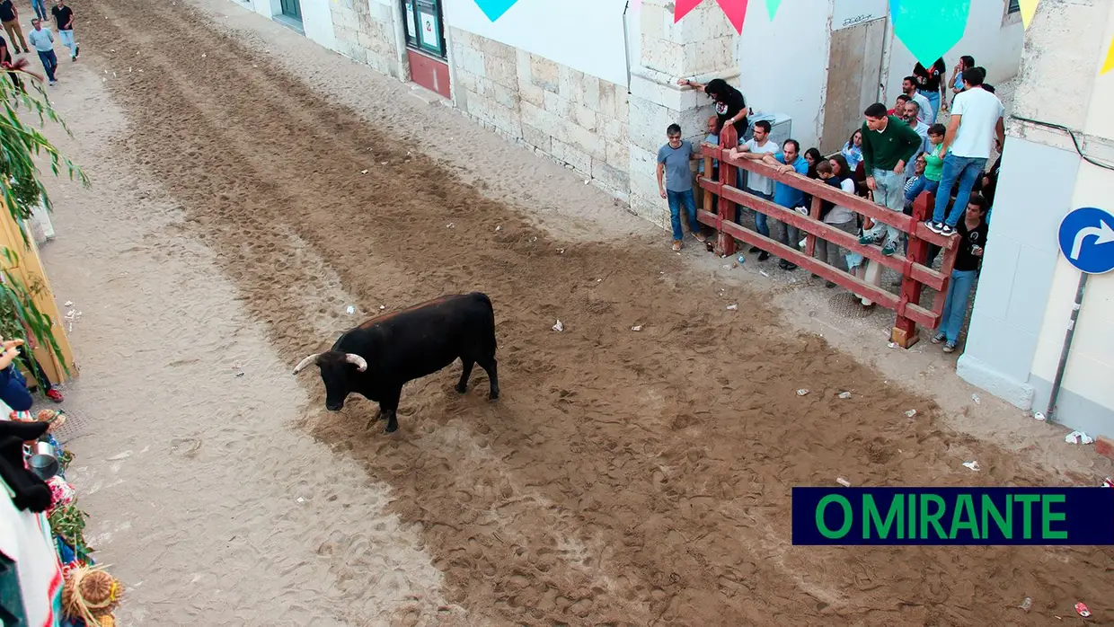 Feira de Maio arrancou com muita música, dança e largada de toiros