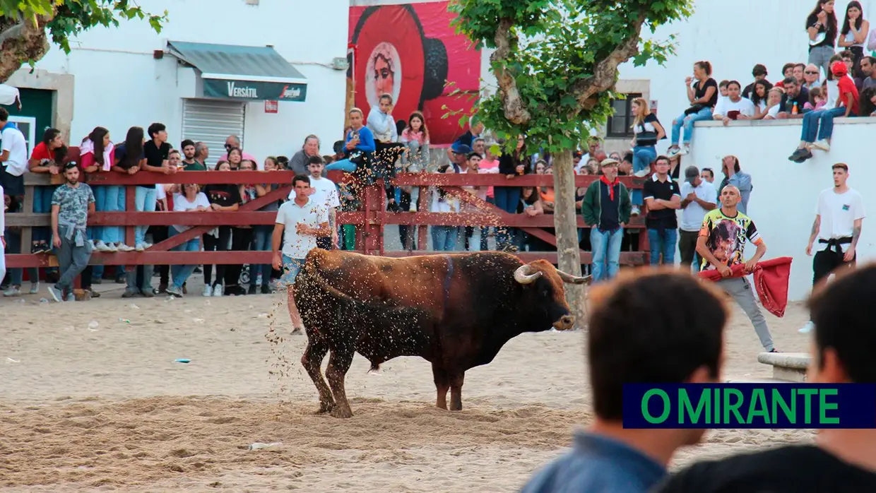 Feira de Maio arrancou com muita música, dança e largada de toiros