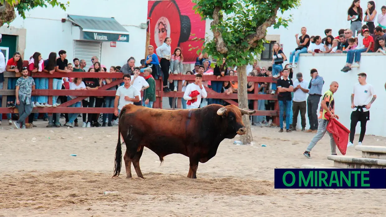 Feira de Maio arrancou com muita música, dança e largada de toiros